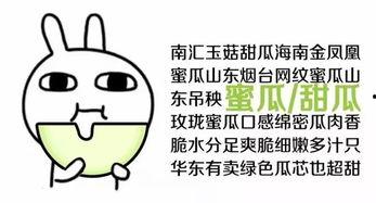 带你成为吃瓜群众,带你轻松成为吃瓜群众的必备指南  第2张